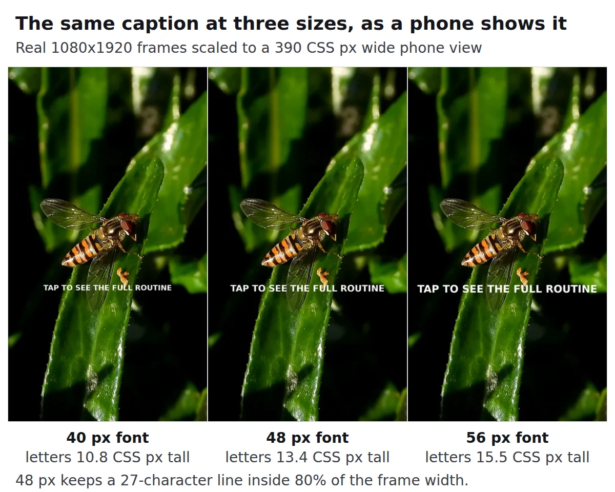 The same caption at 40, 48 and 56 pixel fonts on a real vertical frame, each shown at 390 CSS pixel width